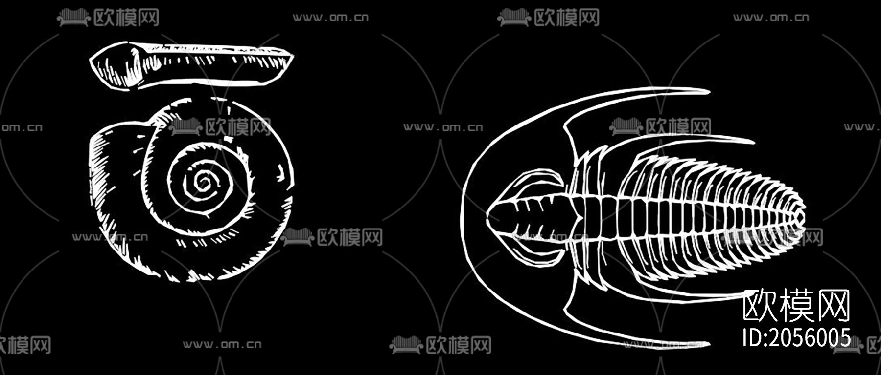 骨化石cad图库下载（渲染图2）
