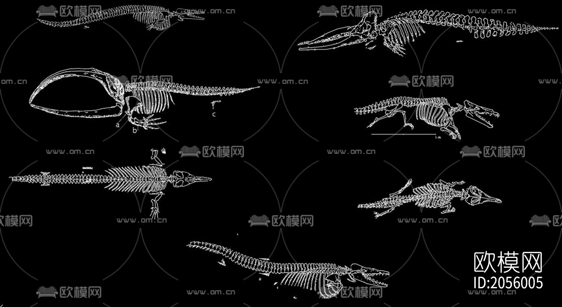 骨化石cad图库下载（渲染图1）