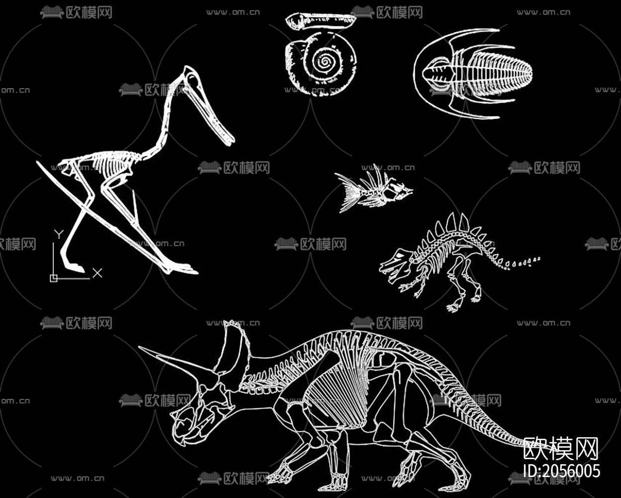 骨化石cad图库下载（渲染图4）