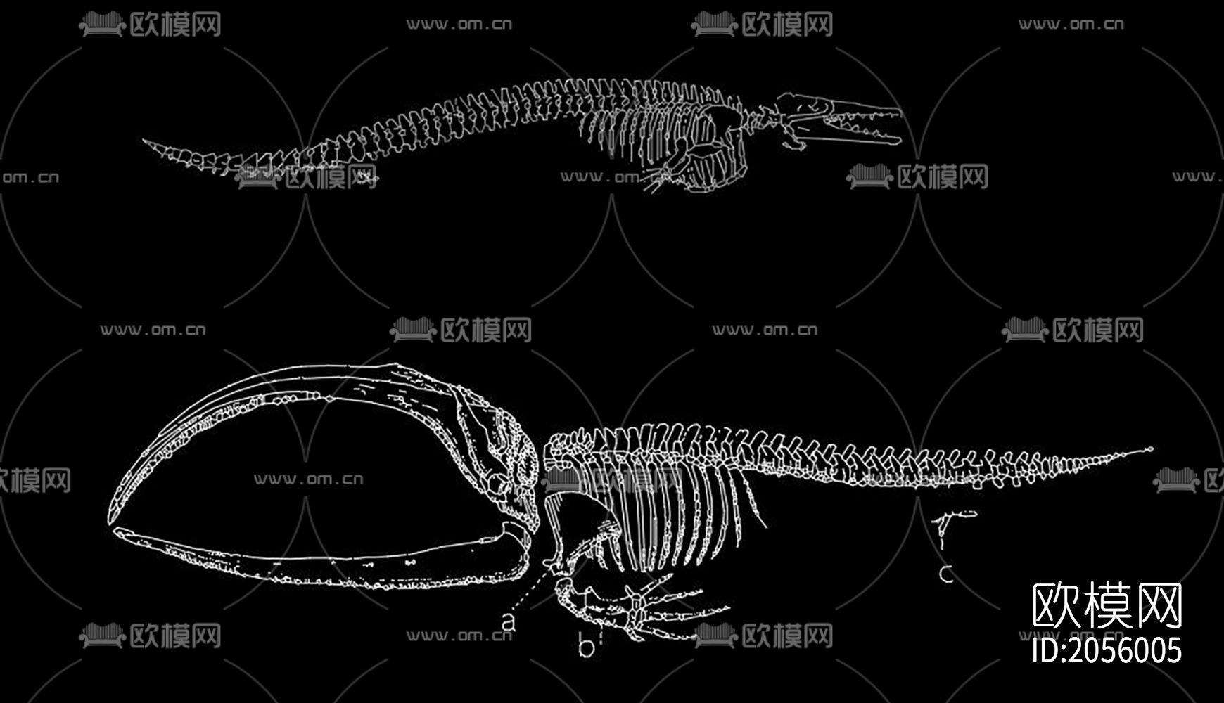 骨化石cad图库下载（渲染图7）