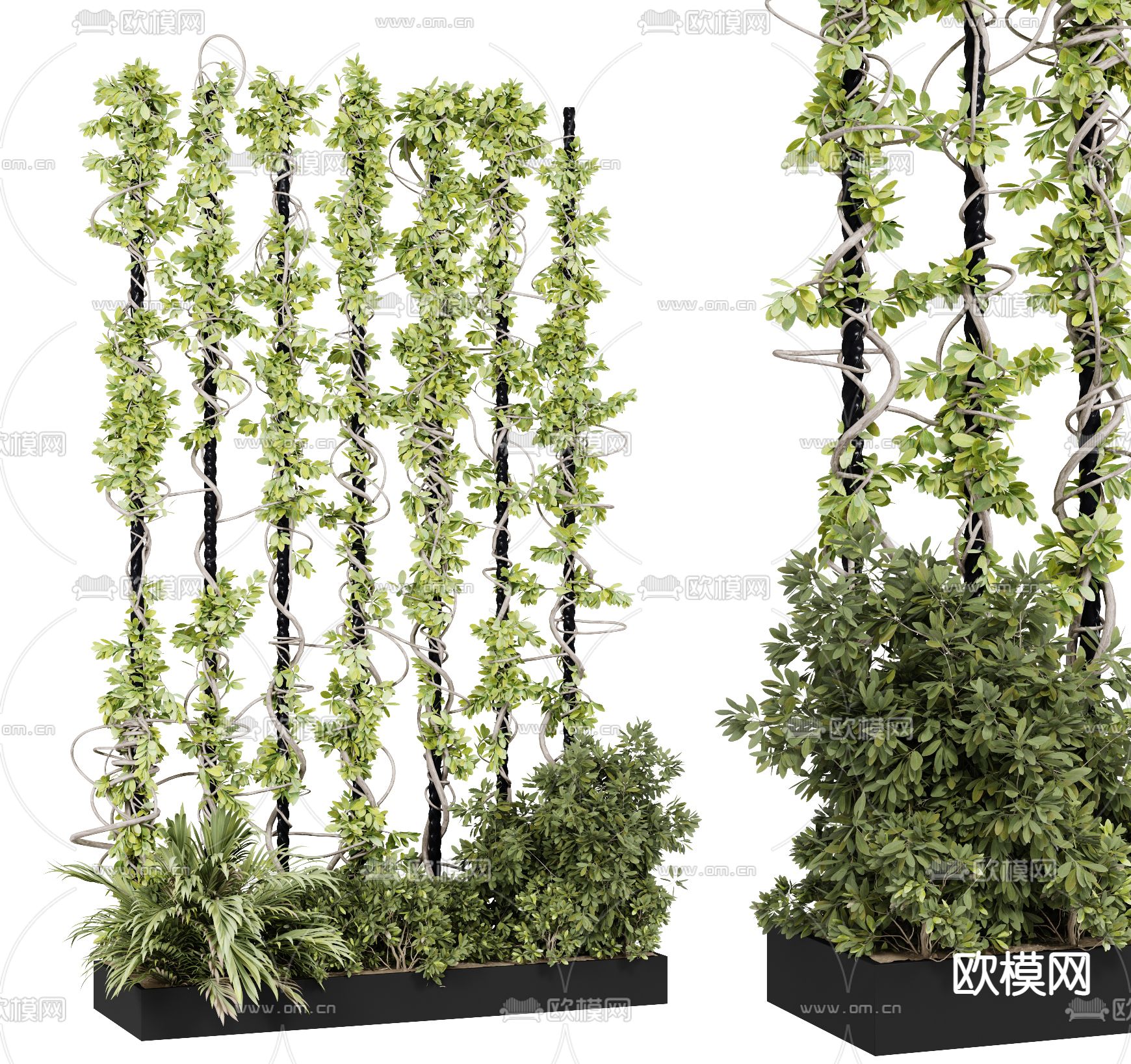 现代藤蔓绿植3d模型