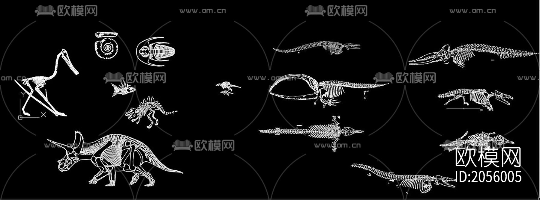 骨化石cad图库下载（渲染图9）