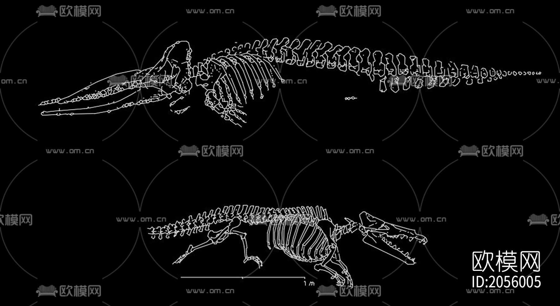 骨化石cad图库下载（渲染图6）