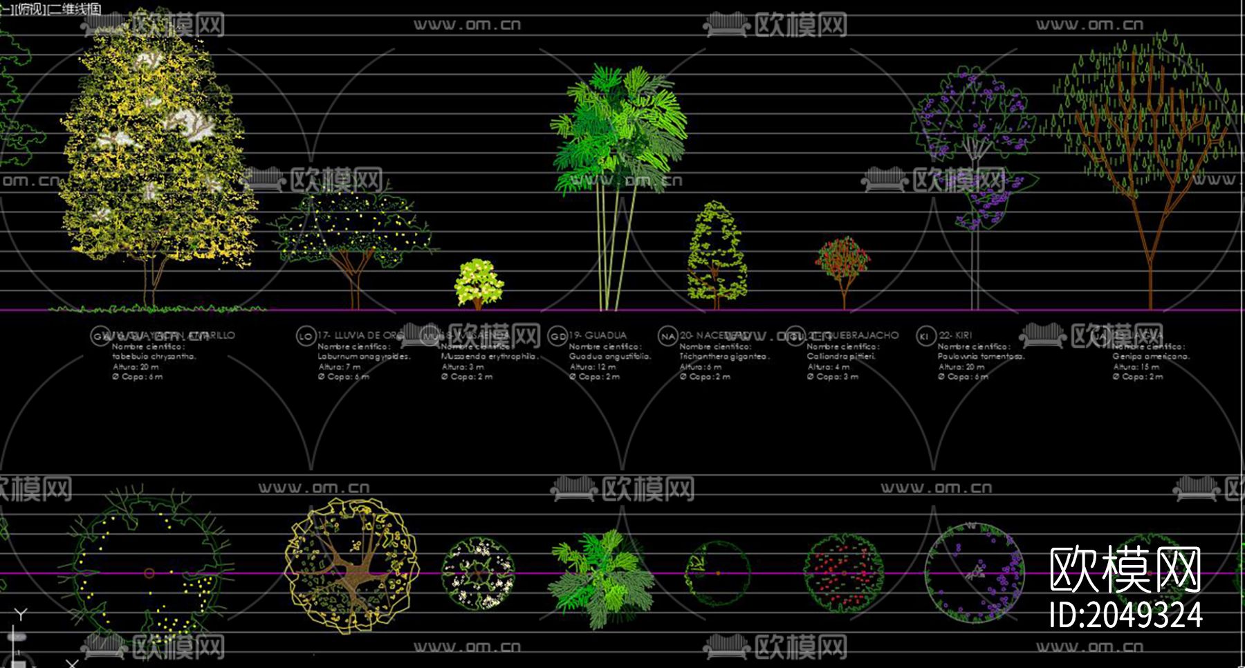 松树cad图库下载（渲染图9）