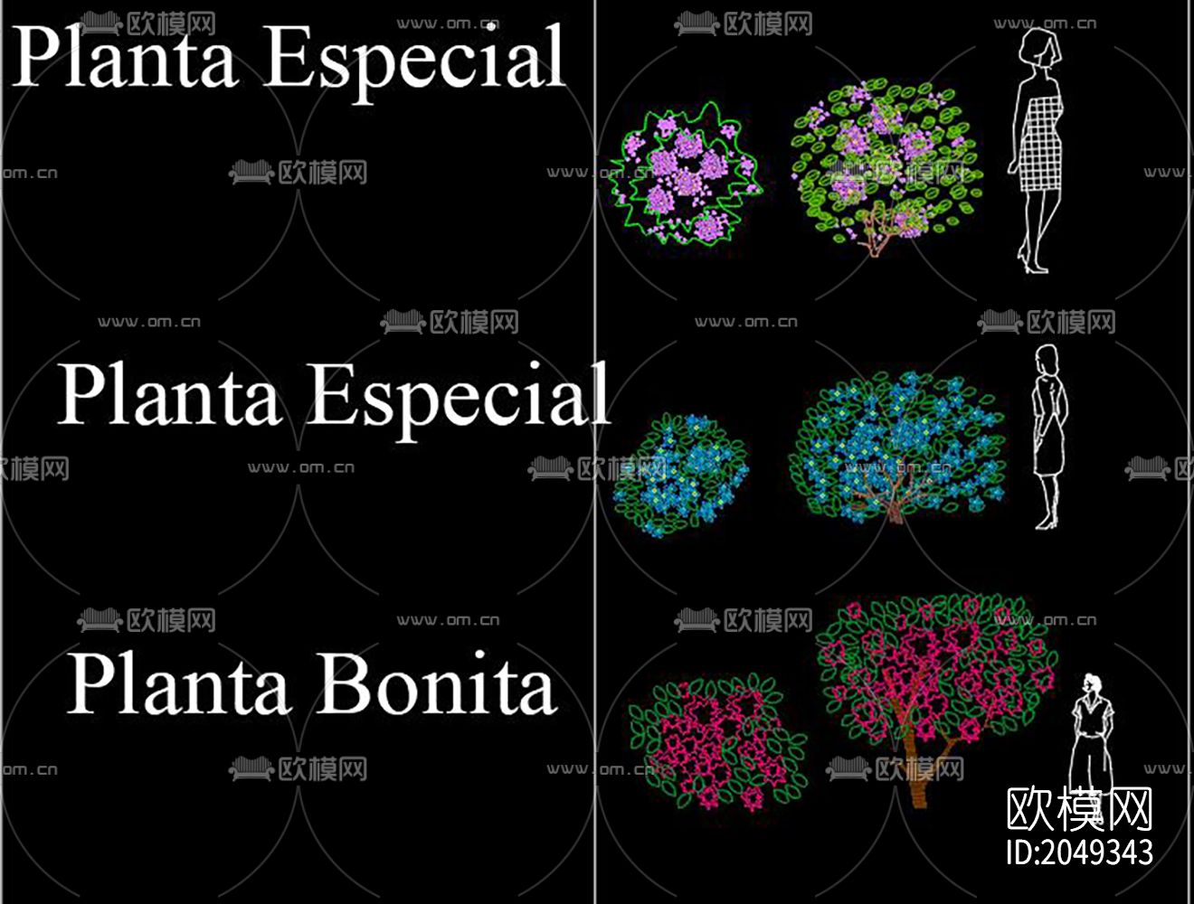 植物cad图库下载（渲染图9）