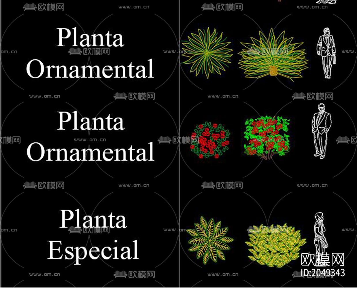 植物cad图库下载（渲染图5）