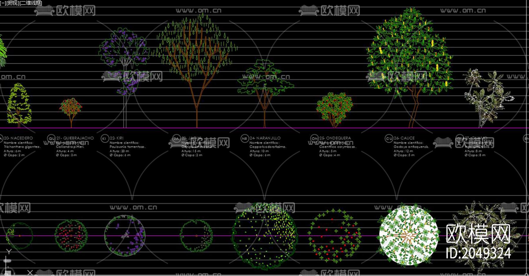 松树cad图库下载（渲染图5）