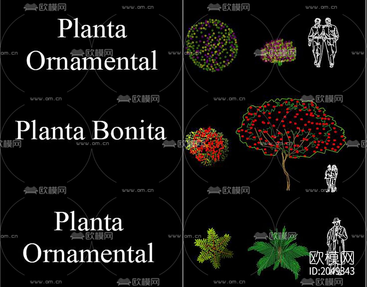 植物cad图库下载（渲染图2）