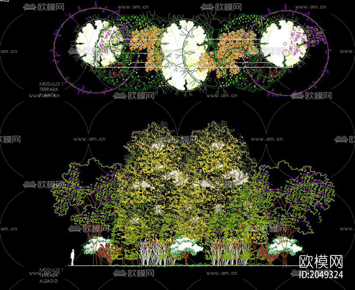 松树cad图库下载（渲染图2）