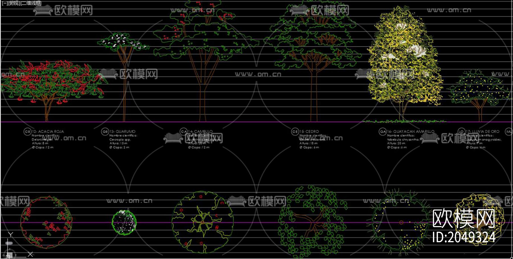 松树cad图库下载（渲染图8）