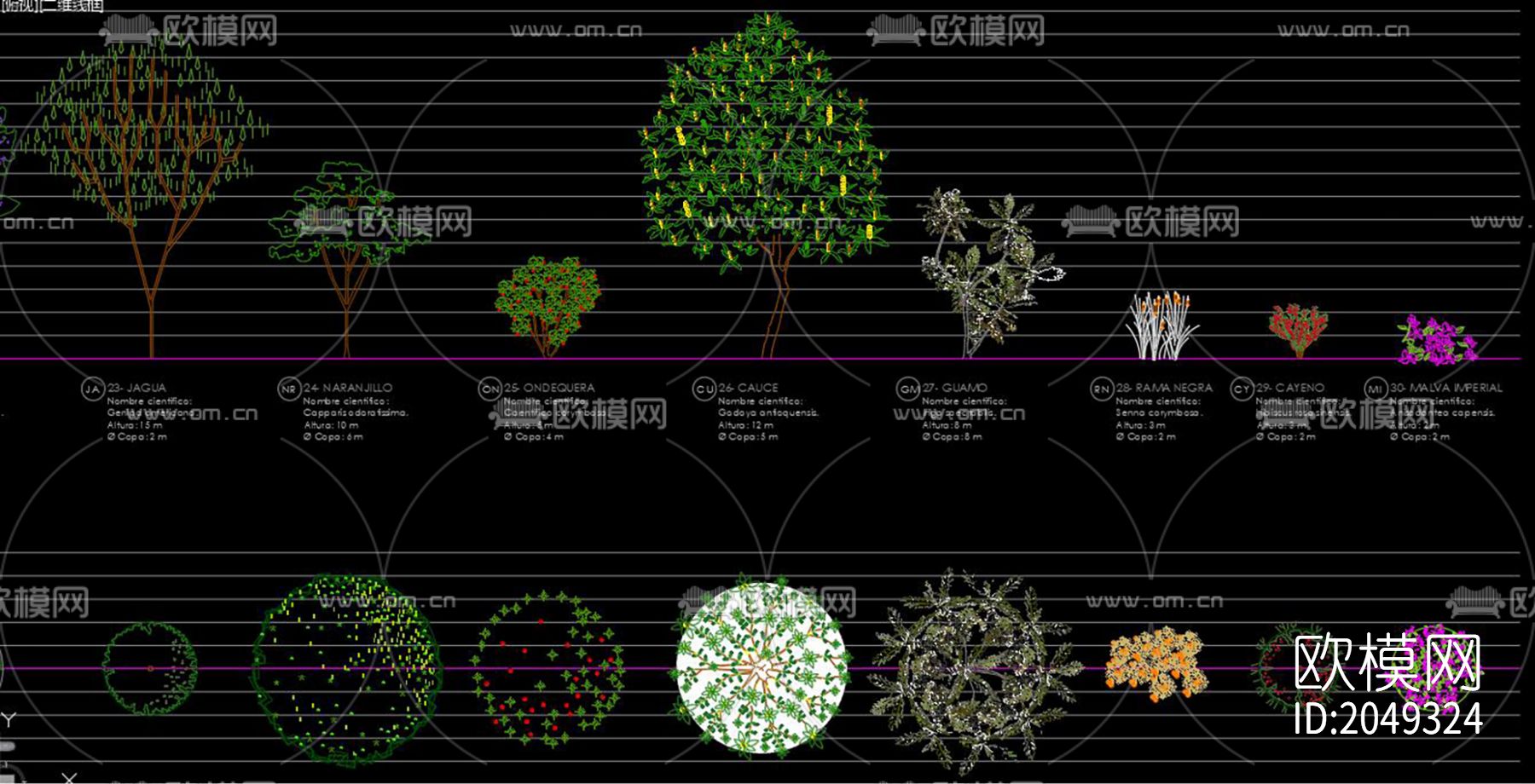 松树cad图库下载（渲染图10）