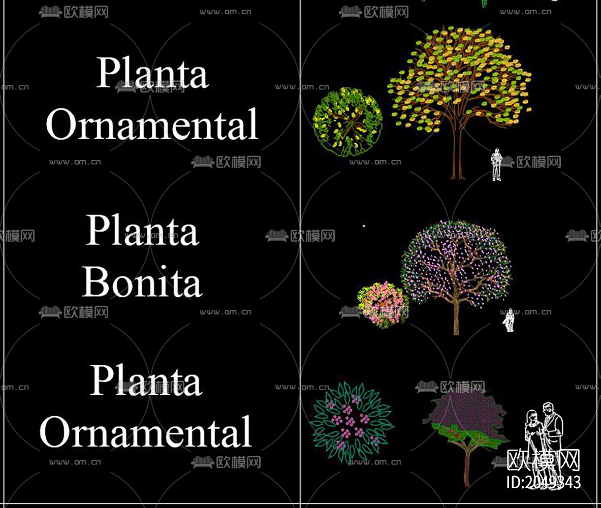 植物cad图库下载（渲染图3）