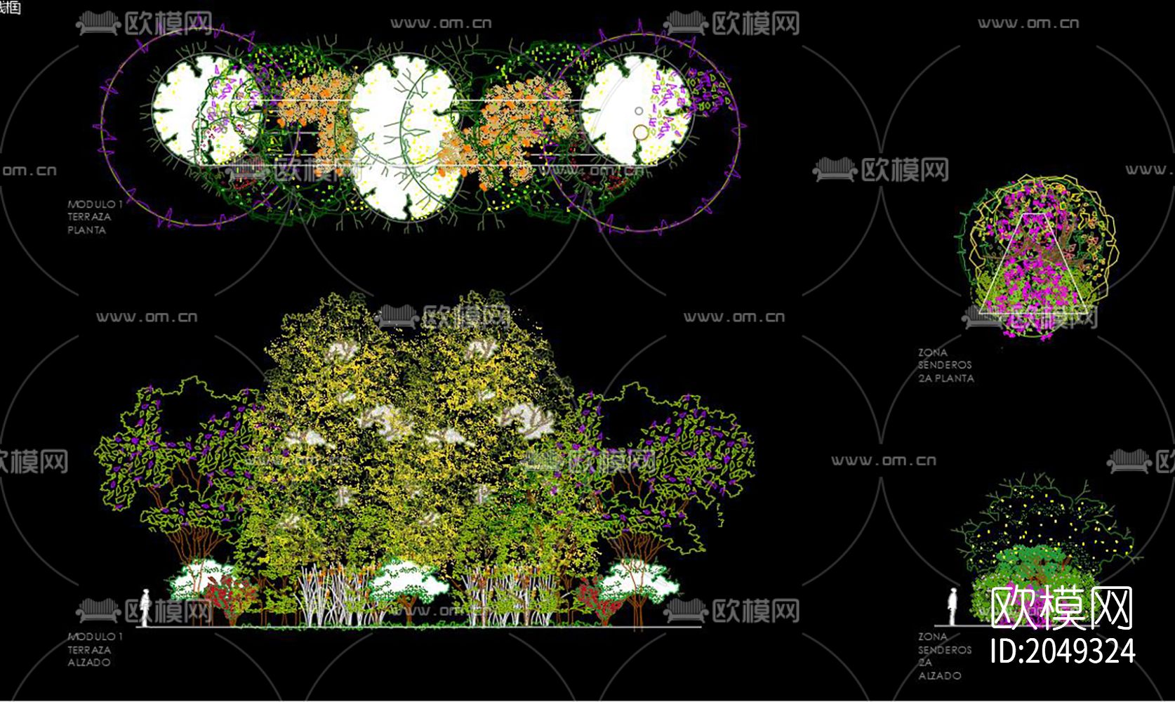 松树cad图库下载（渲染图3）