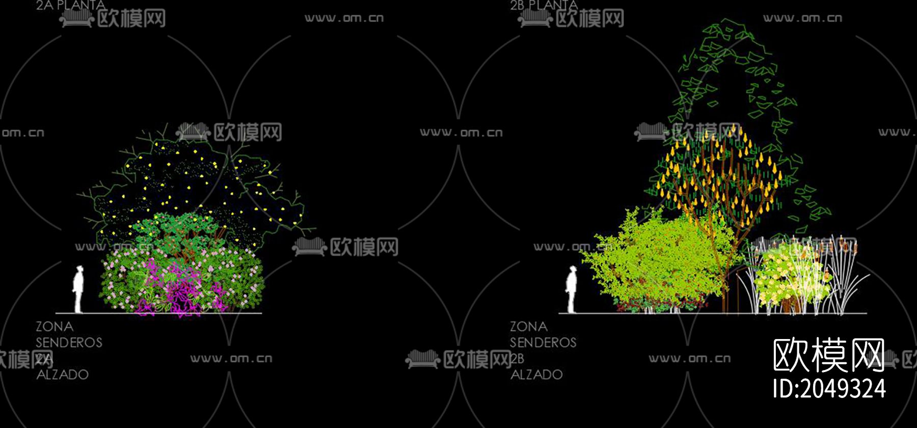 松树cad图库下载（渲染图4）