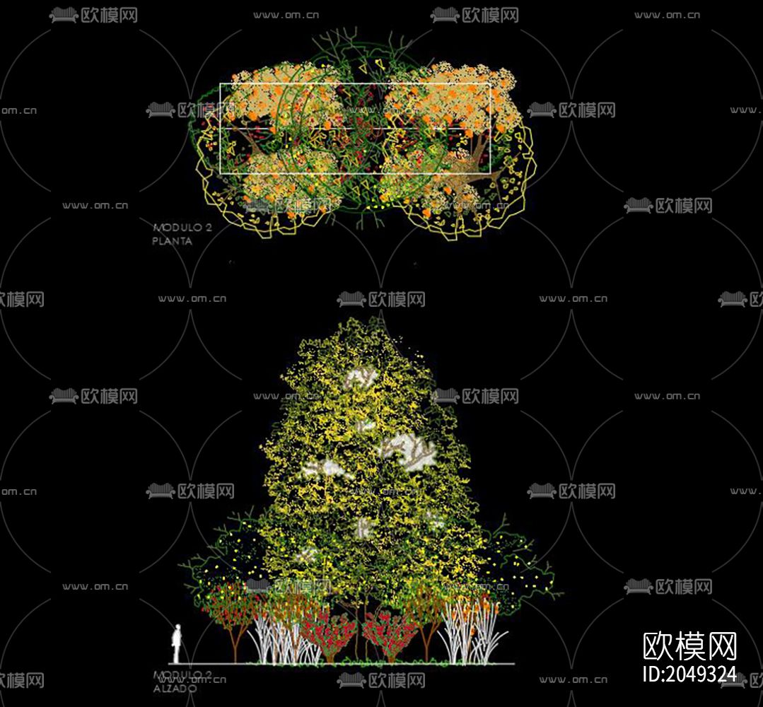 松树cad图库下载（渲染图1）
