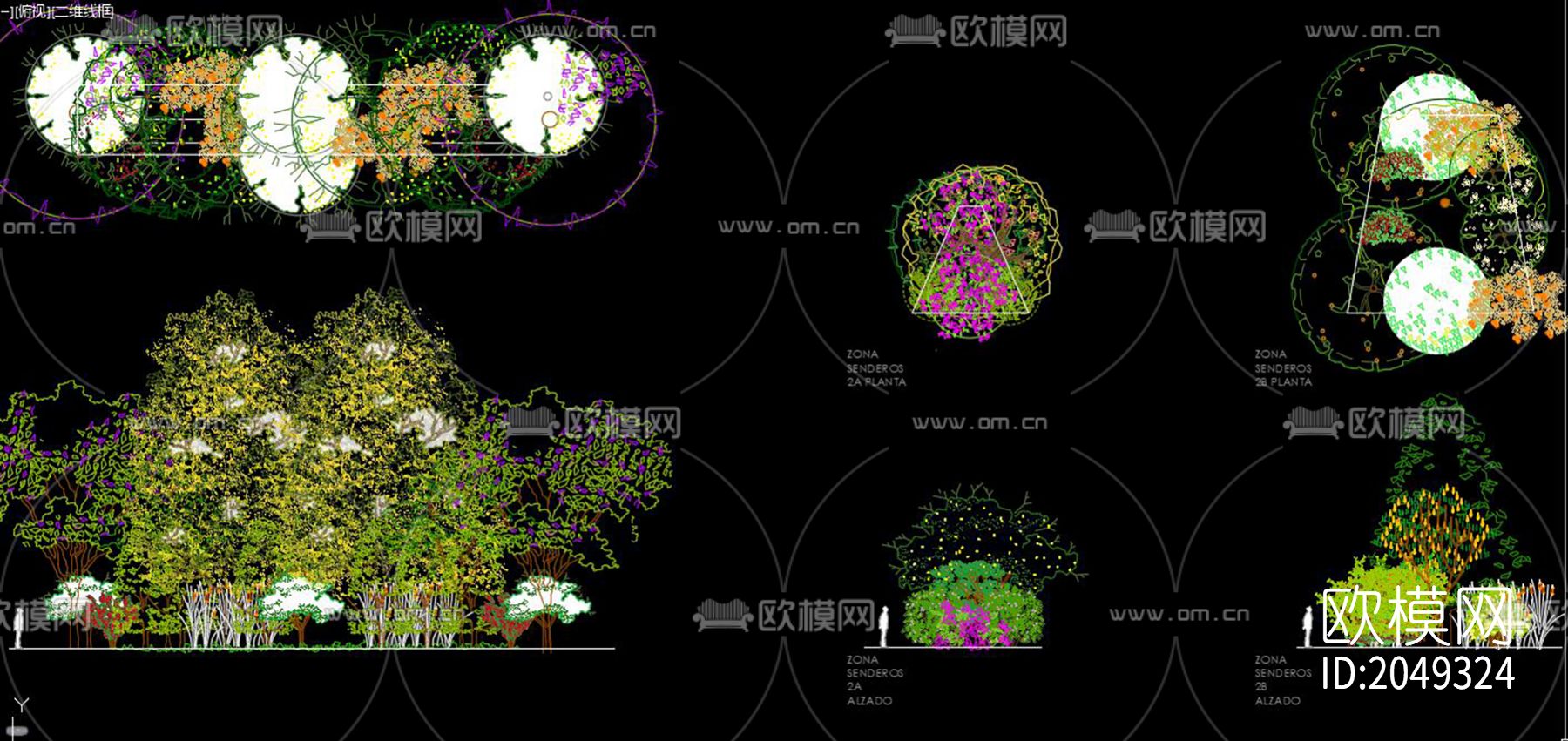 松树cad图库下载（渲染图7）