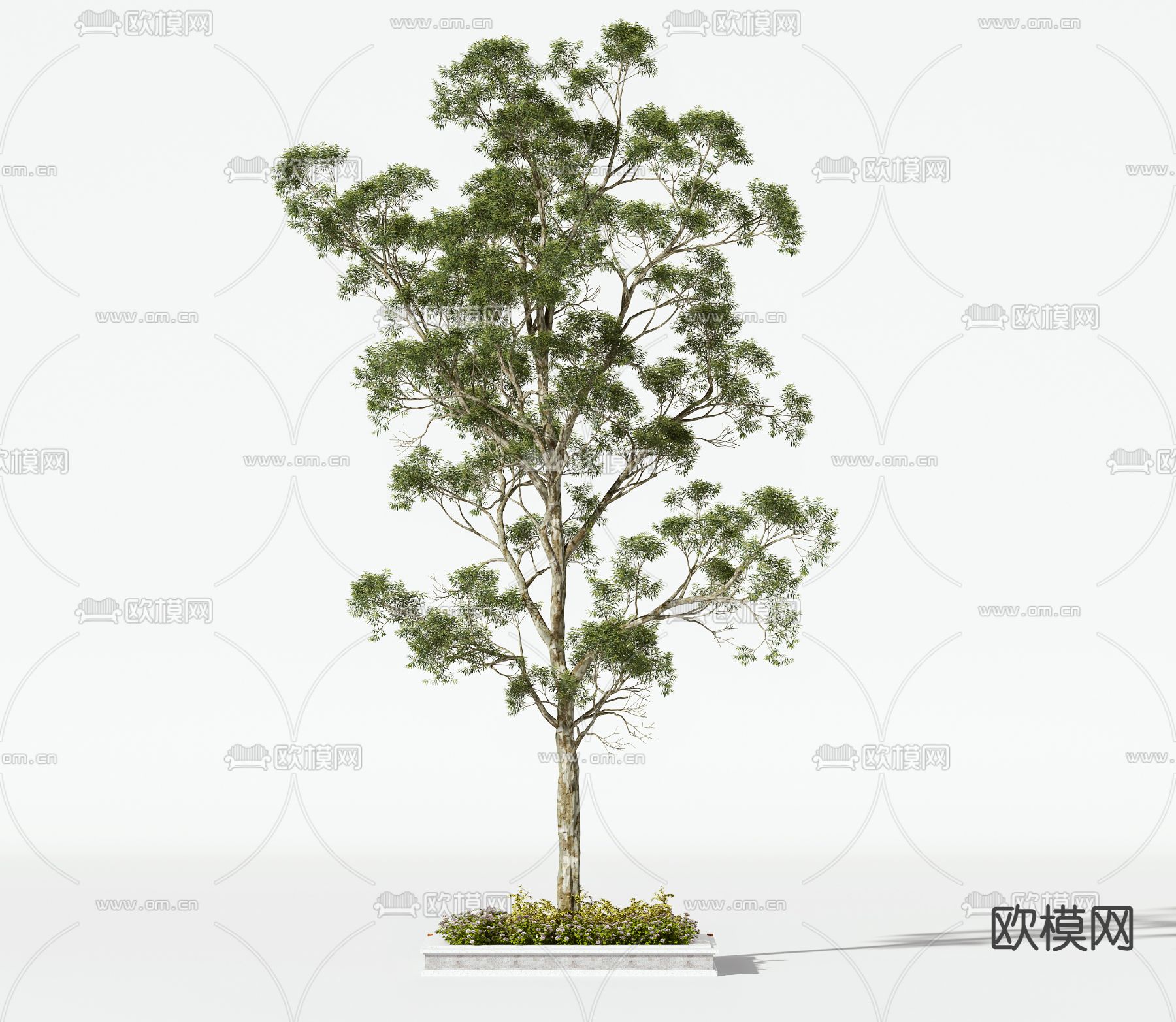 现代景观树3d模型下载