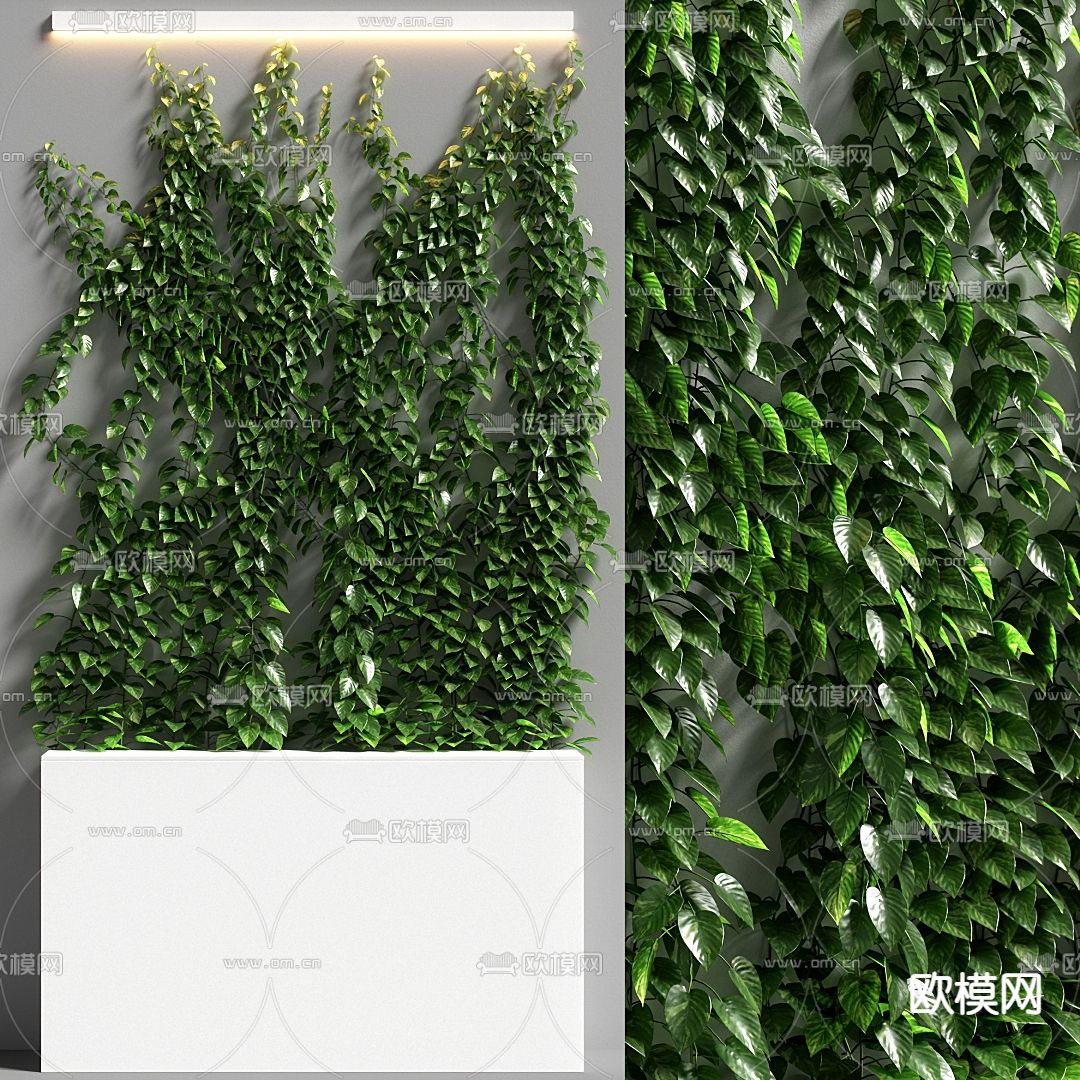 现代绿植藤曼3d模型下载