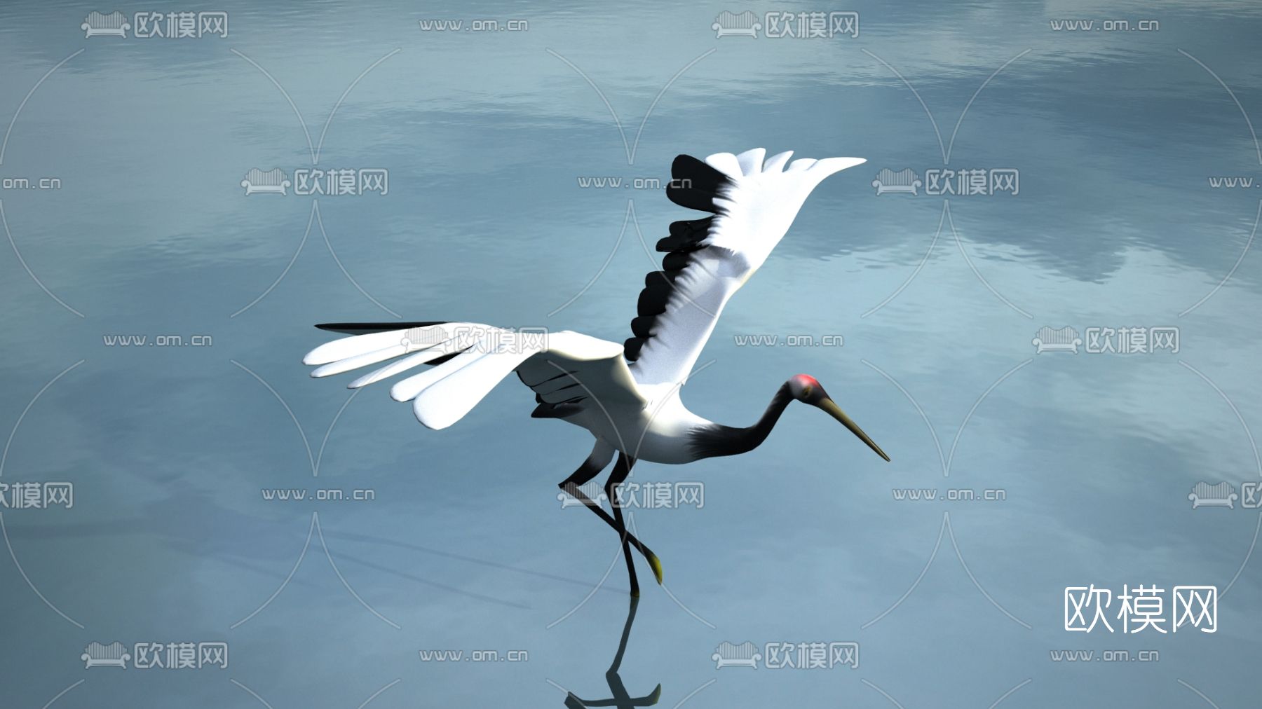 现代白鹤3d模型下载