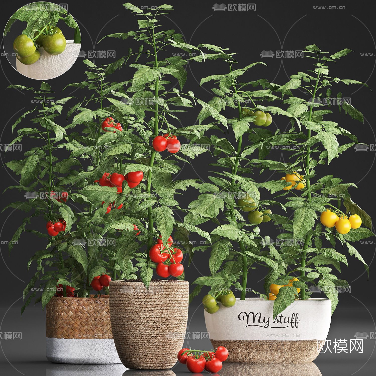 北欧绿植番茄盆栽3d模型下载