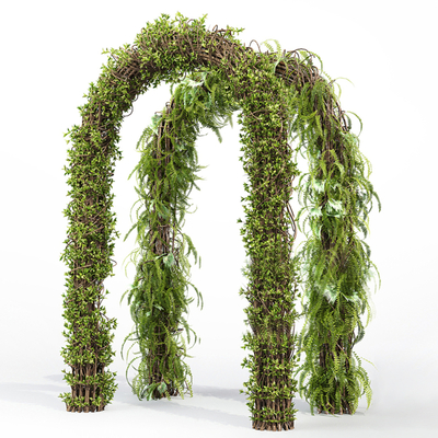 拱门藤蔓3d模型