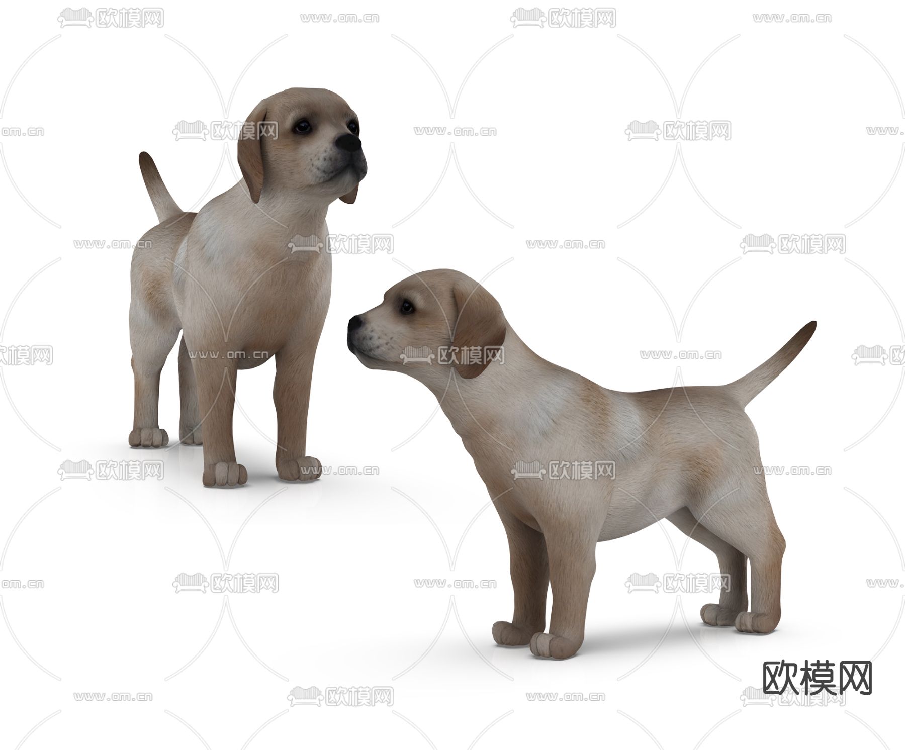 现代小狗3d模型下载