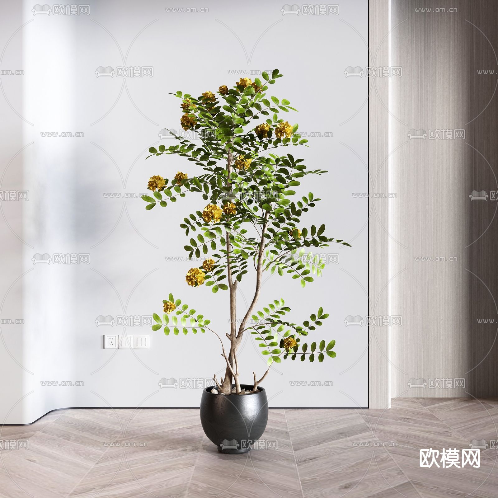 现代绿植盆栽su模型下载（渲染图1）