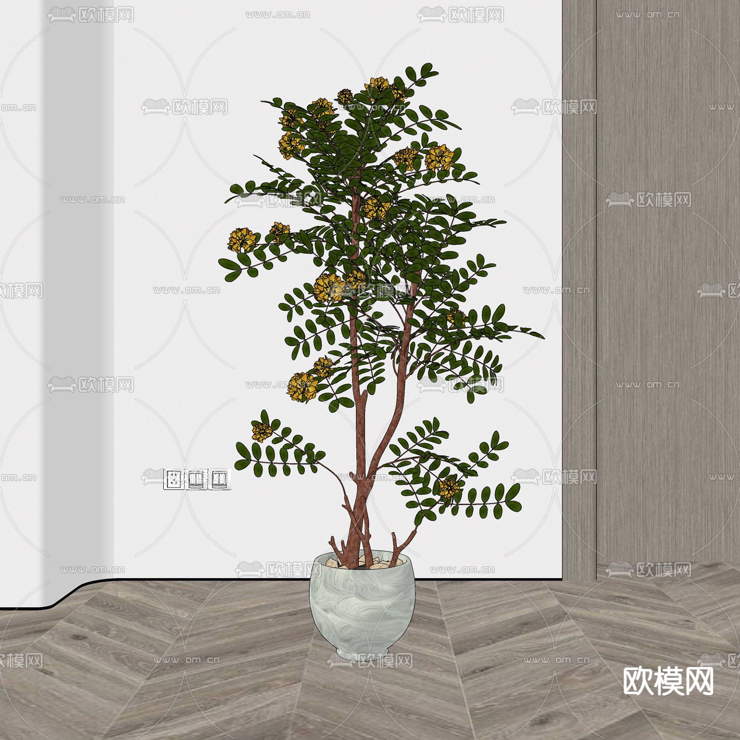 现代绿植盆栽su模型下载（渲染图2）