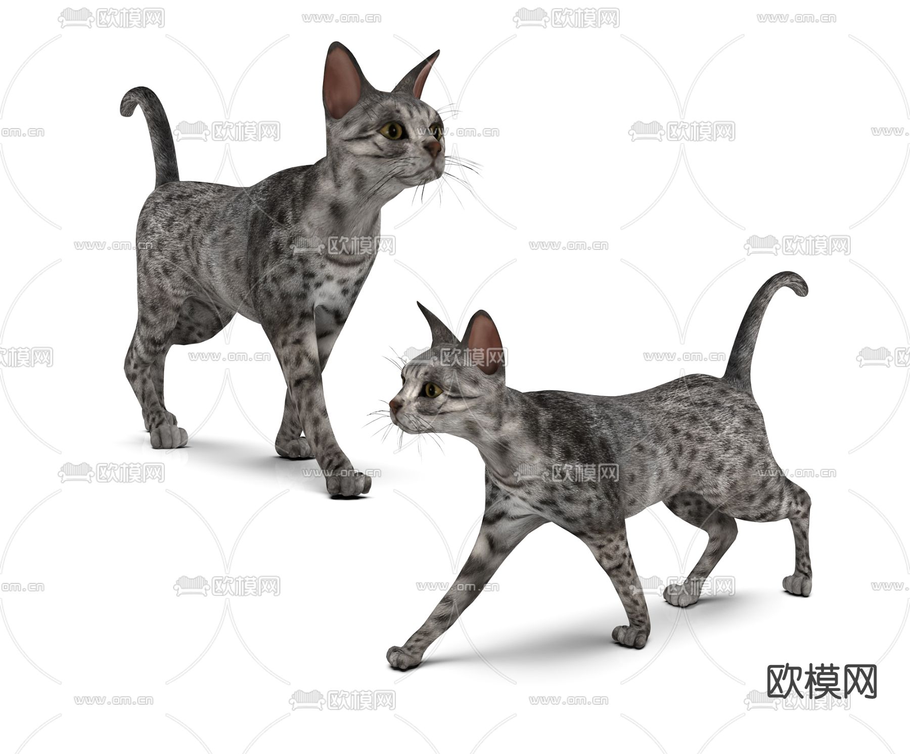 现代小猫咪3d模型下载