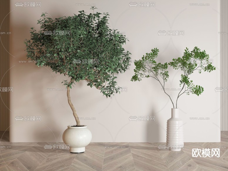 现代绿植盆栽3d模型下载