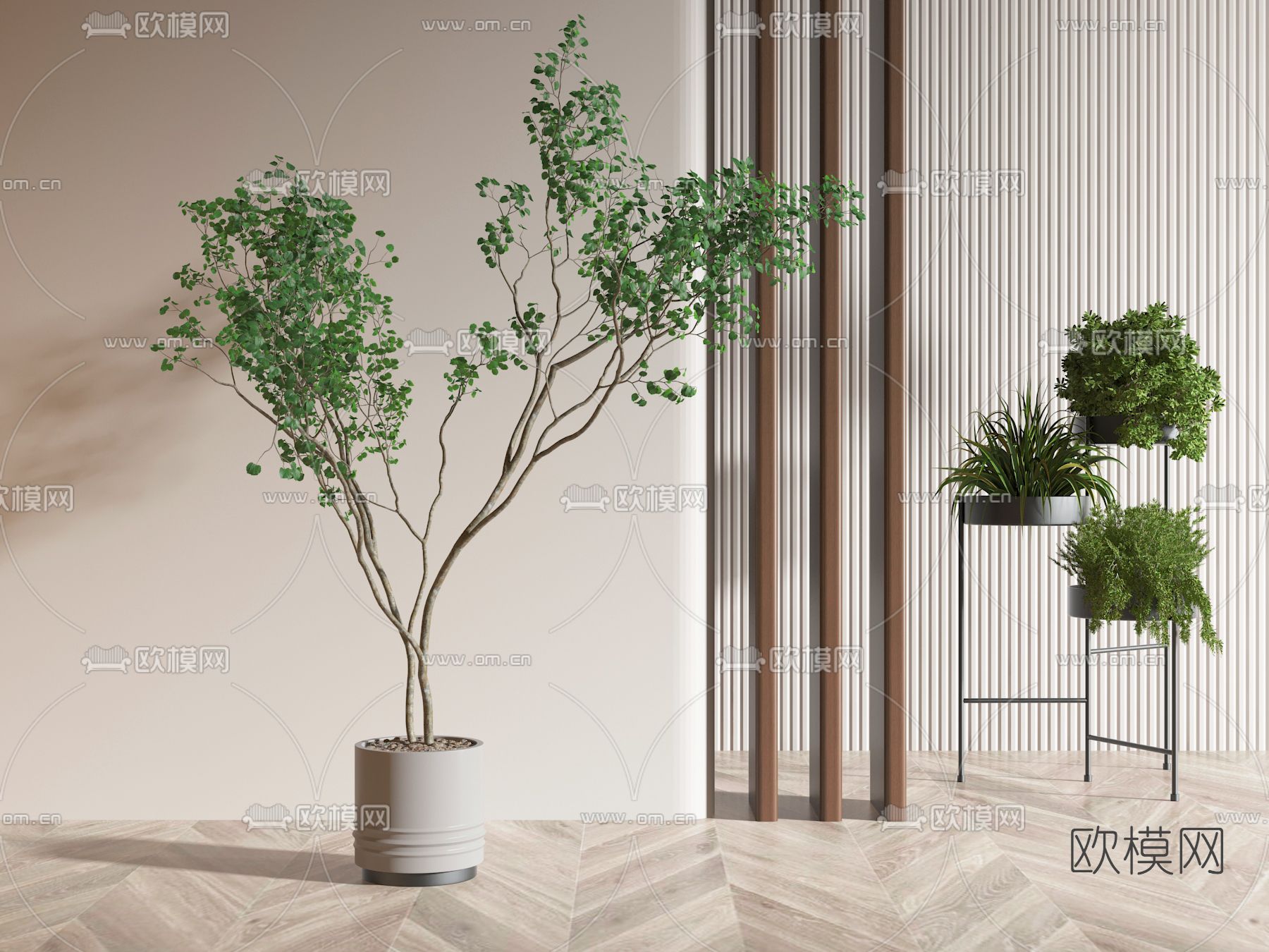 现代植物盆栽3d模型下载_ID11923571_3dmax免费模型-欧模网