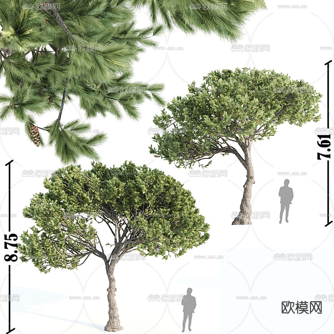 现代户外景观树3d模型下载（渲染图1）