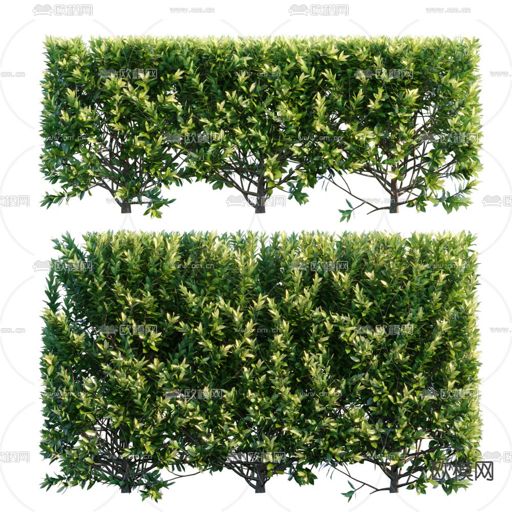 现代灌木绿篱3d模型下载