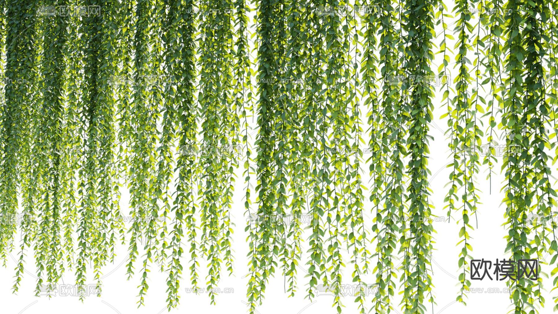 现代藤蔓3d模型下载（渲染图3）