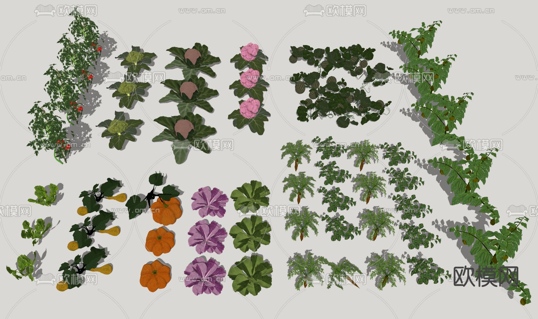 现代田园蔬菜su模型