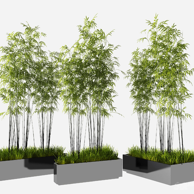  现代竹子盆栽su模型 