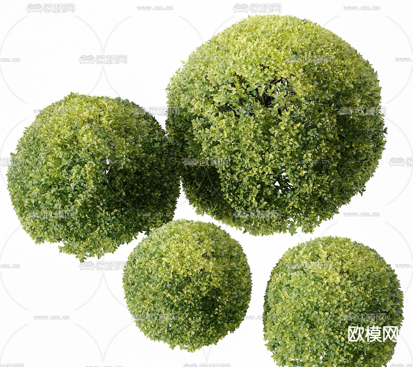 现代灌木球su模型下载（渲染图1）
