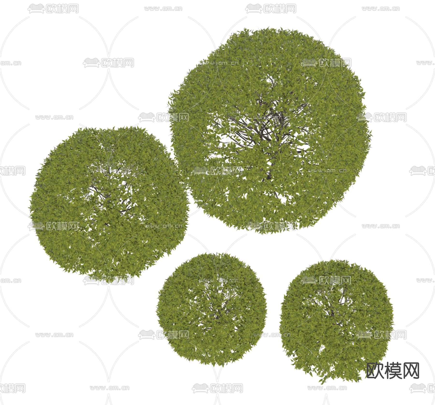 现代灌木球su模型下载（渲染图2）