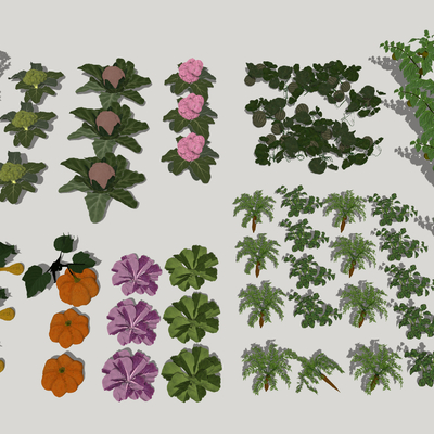  现代田园蔬菜su模型 