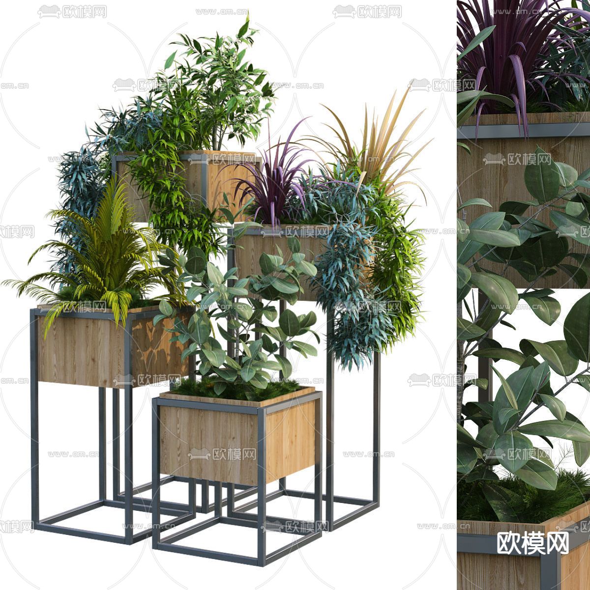 现代植物盆栽su模型