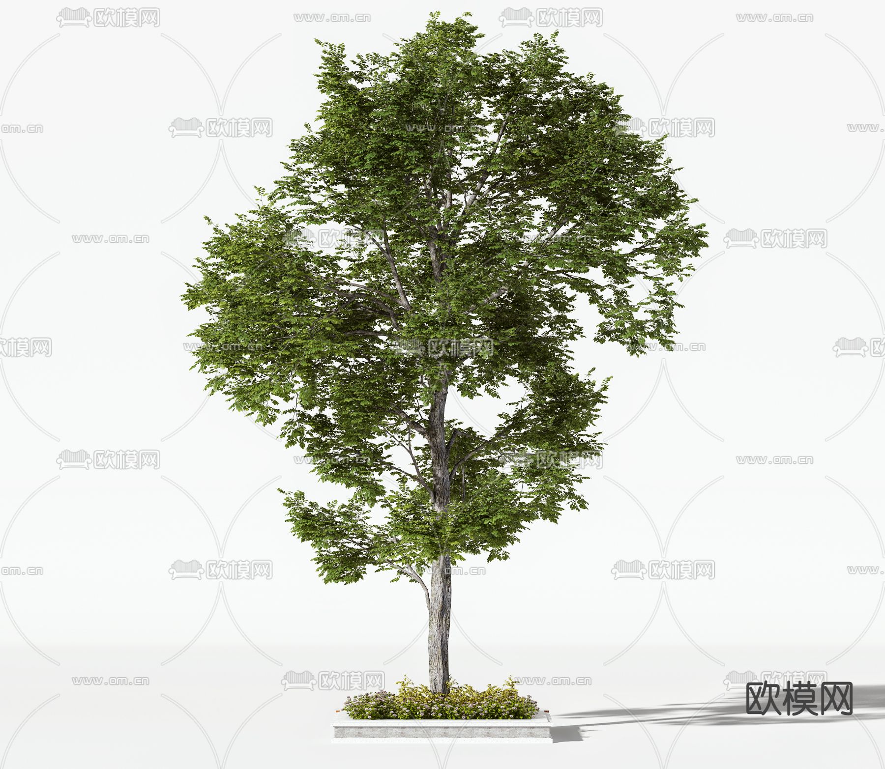 现代大树景观树3d模型下载