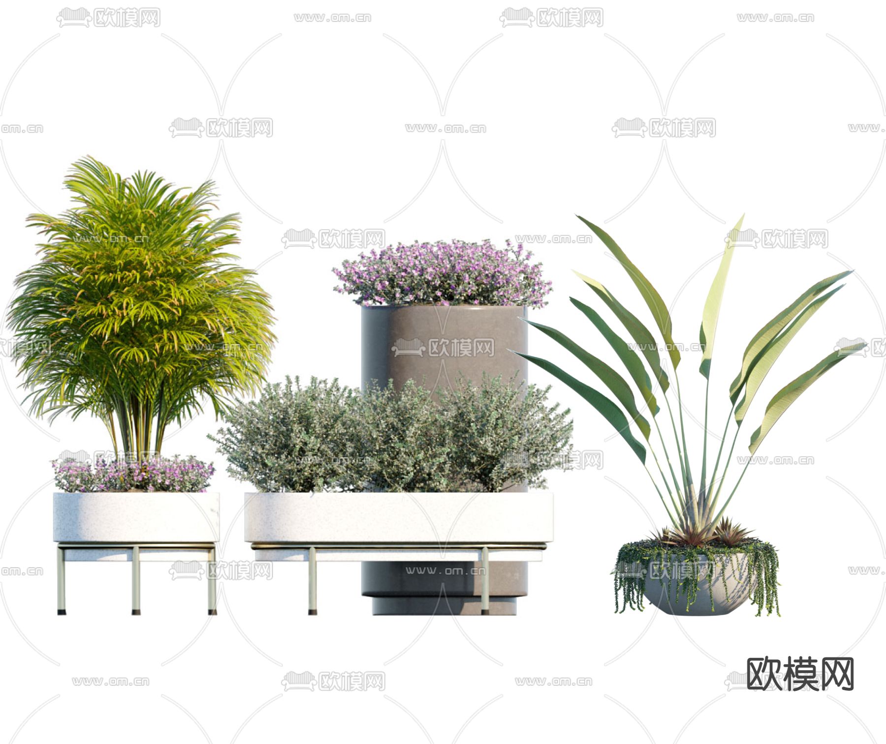 现代植物盆栽盆景su模型下载（渲染图1）