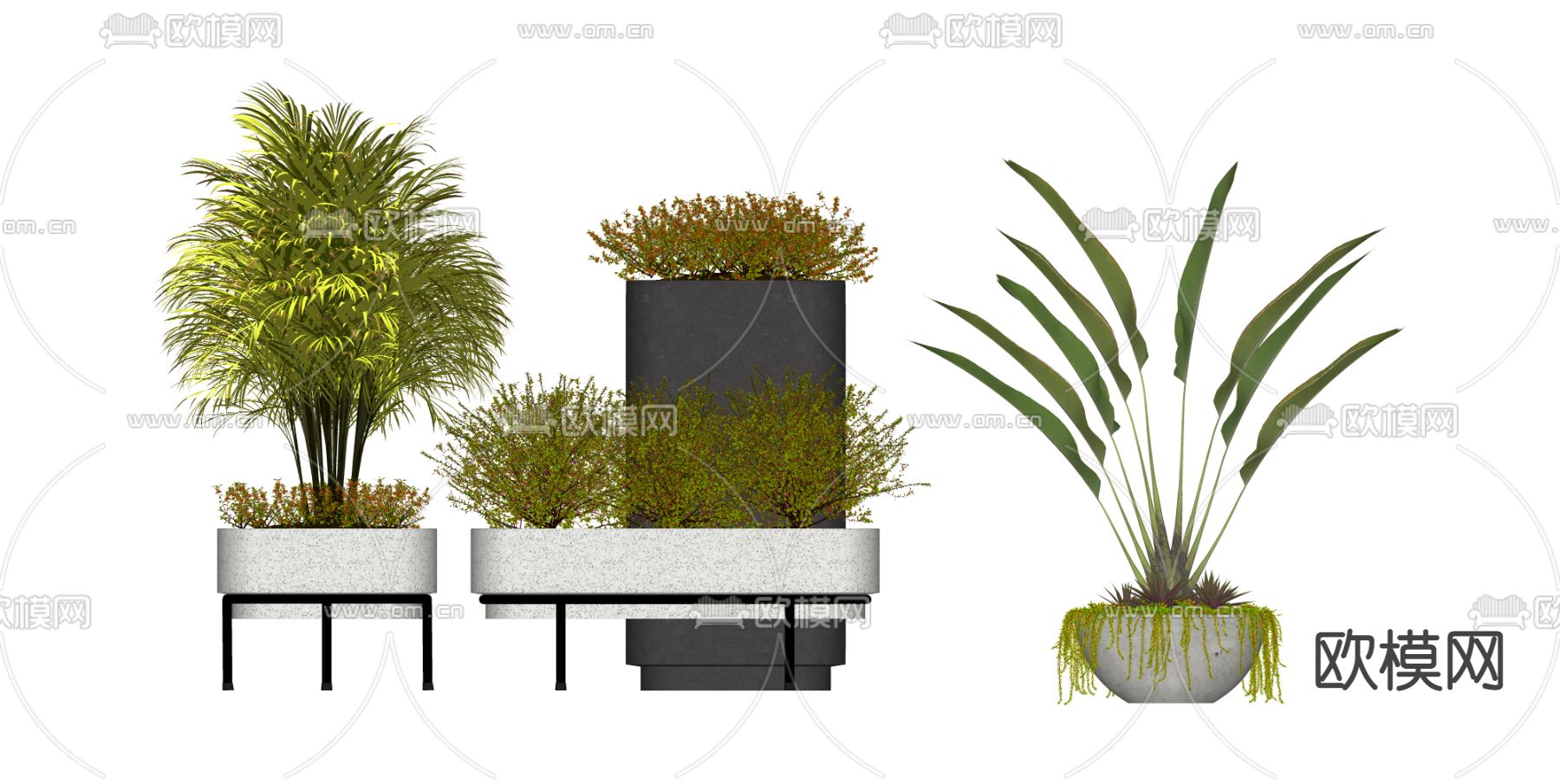 现代植物盆栽盆景su模型下载（渲染图2）