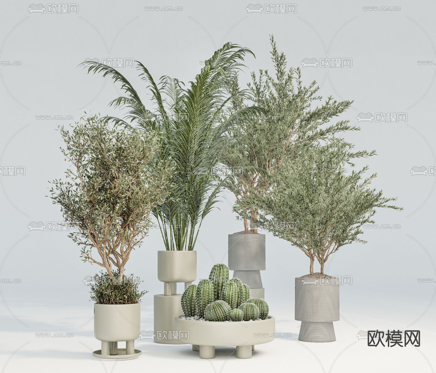 现代绿植盆栽su模型下载（渲染图1）