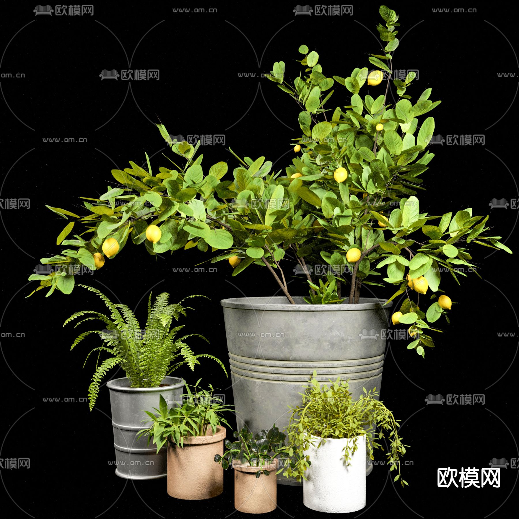 现代绿植盆栽3d模型下载