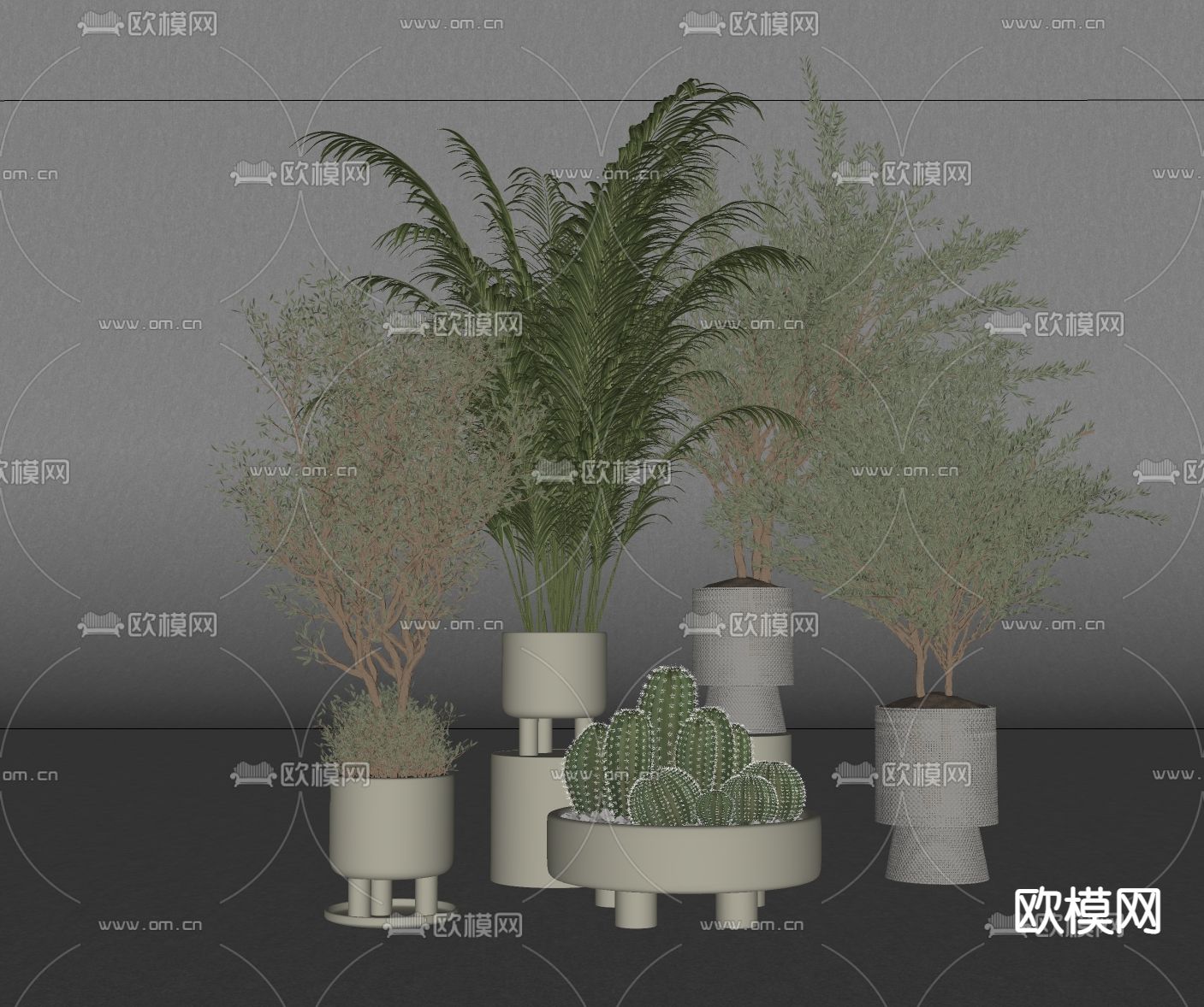 现代绿植盆栽su模型下载（渲染图2）