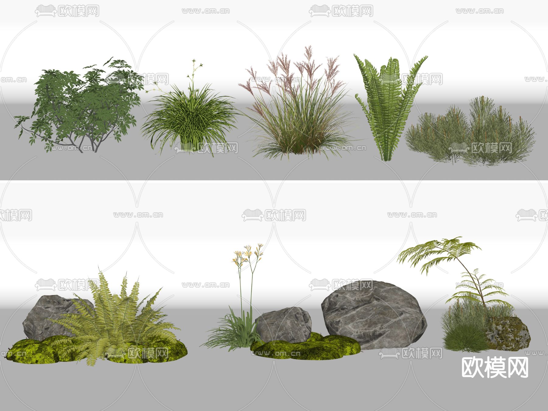 现代绿植花草su模型