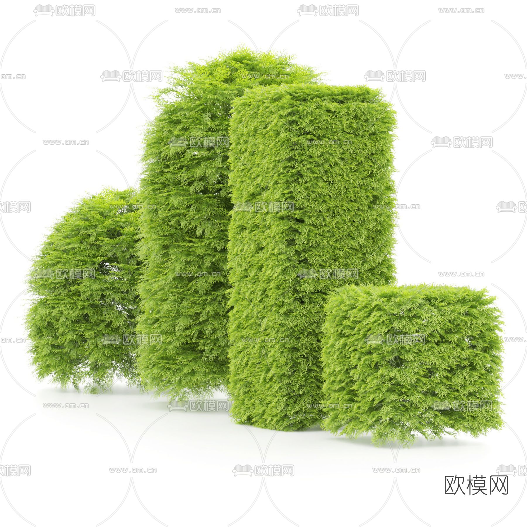 现代绿植灌木3d模型下载（渲染图2）
