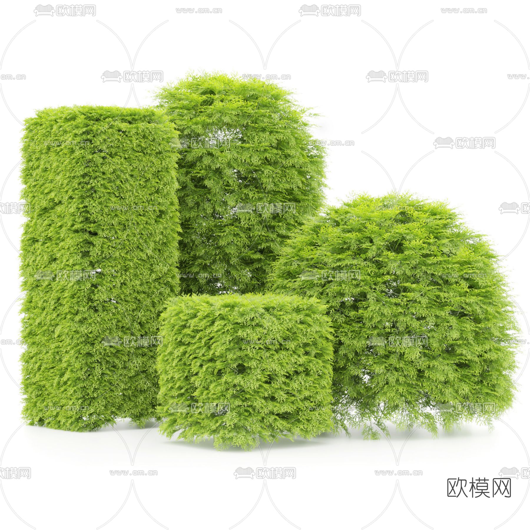 现代绿植灌木3d模型下载（渲染图1）