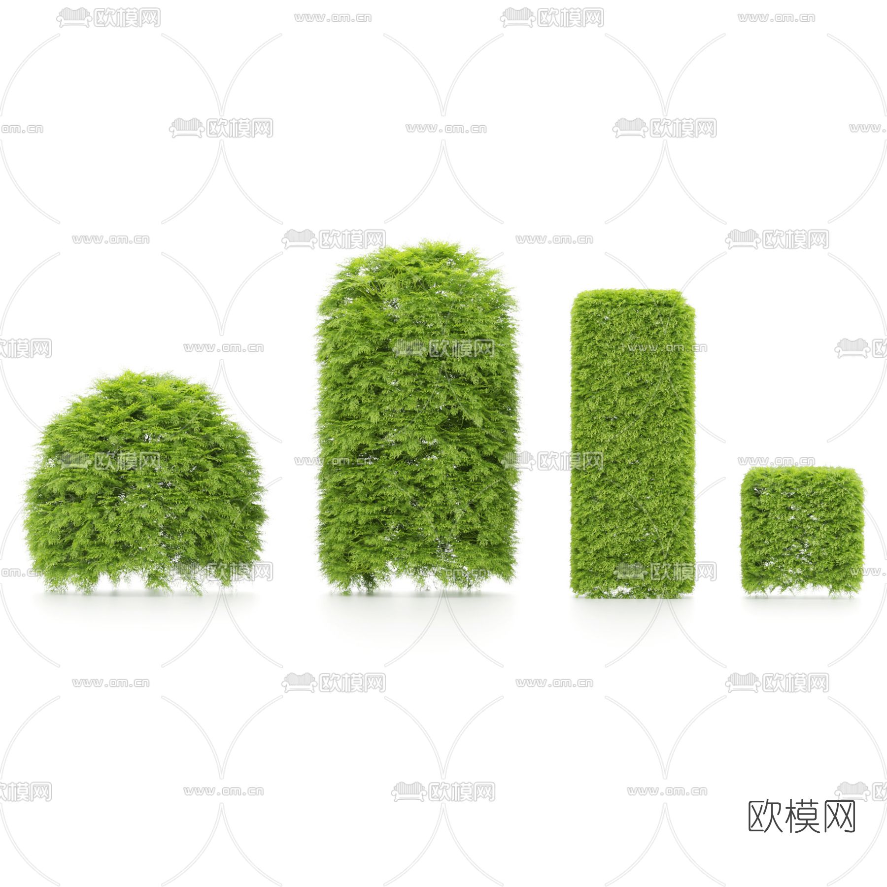 现代绿植灌木3d模型下载（渲染图3）
